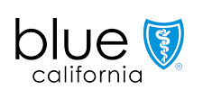 blue logo.png